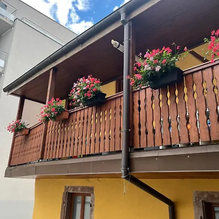 Colmar Charmant Logement Colmar