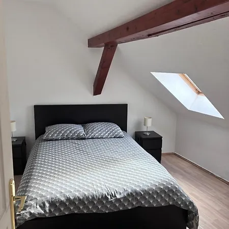 Colmar Charmant Logement *