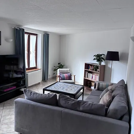 Colmar Charmant Logement