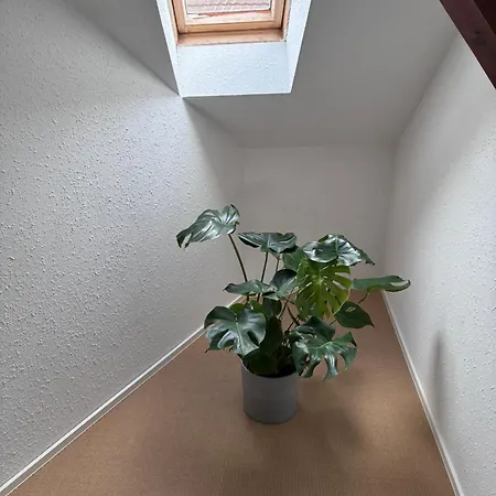 Apartamento Colmar Charmant Logement