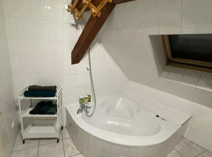 Colmar Charmant Logement Daire