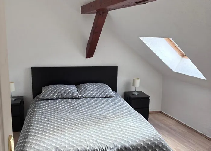 Colmar Charmant Logement *