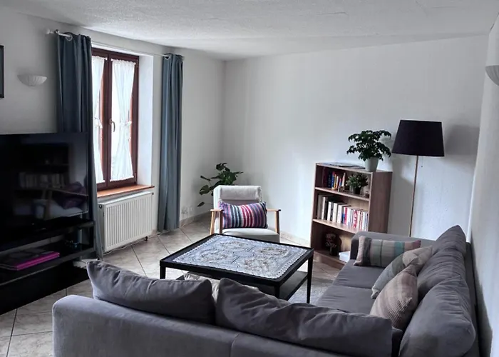 Colmar Charmant Logement