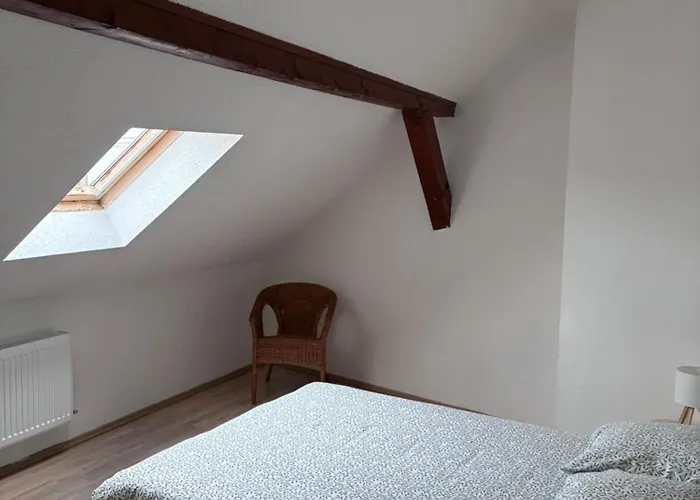 Daire Colmar Charmant Logement Colmar